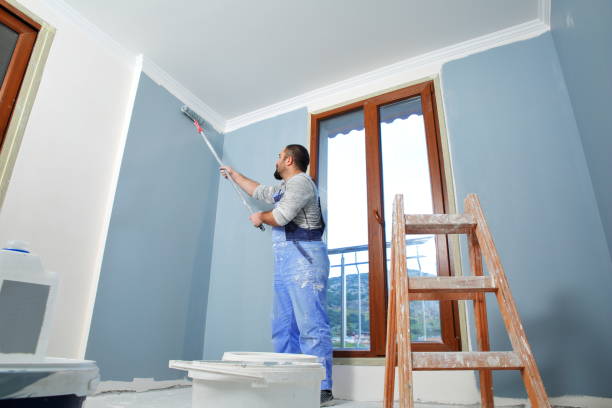 Best Exterior Painting  in Lyons, IL